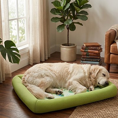 Tapis rafraichissant Chien 