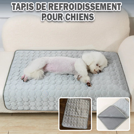 Tapis Rafraîchissant Chien | ChillPaws™